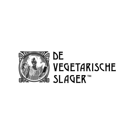 logo_dvs1